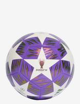 Adidas Performance - Ucl Trn F - Futbolo kamuoliai - Violetinė