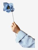 Studio About - Paper Flower, Poppy, Light Blue - Džiovintos gėlės - Mėlyna