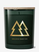 Skandinavisk - Skog Special Gold Edition Scented Candle - Kvapni žvakė - Žalia