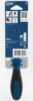 PRO Atsuktuvas PH2 x 100 mm 1600A039RW | 4059952735627