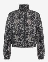 PUMA - Puma Sport Animal Relaxed Aop Full-Zip Woven Jacket - Sportinė laisvalaikio striukė - Pilka