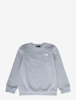 The North Face - Teen Evolution Simple Dome Crew - Megztinis - Pilka