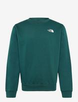The North Face - M Evolution Box Nse Regular Crew - Sportinis megztinis - Žalia