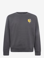 The North Face - U Gear Up Get Out Rlx Crew-Graphic - Sportinis megztinis - Pilka