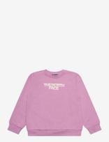 The North Face - Teen G Chalbi Relaxed Crew - Graphic - Megztinis - Violetinė
