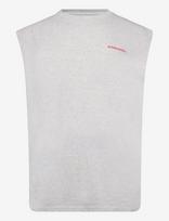 Björn Borg - Borg Gym Sleeveless T-Shirt - Sportinė palaidinė be rankovių - Pilka