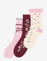 Minipop - Mpopmarry Bamboo Socks 3-Pack - Kojinės - Burgundiška splava