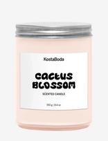 Kosta Boda - Mind Doftljus 550Gr Cactus Blossom - Kvapni žvakė - Sidabro
