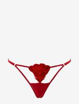 Bluebella - Rose Thong - Stringai - Raudona