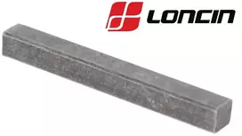 FIKSATORIUS MAGNETINIO DISKO LONCIN G200F, LC1P65FE, LC1P70FA