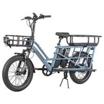 Fafrees FF20 CUV Krovininis Elektrinis Dviratis, 250W Variklis, 48V 24Ah
