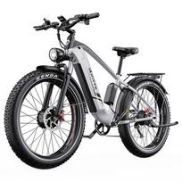 DUOTTS F26 Lite elektrinis dviratis, 500 W variklis, 48 V 18 Ah