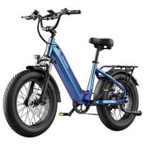 FAFREES F20 Rover Elektrinis Dviratis 250W Rear Hub Variklis, 48V 20Ah
