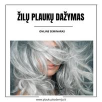 Online seminaras - ŽILŲ PLAUKŲ DAŽYMAS. VISKAS, KĄ TURI ŽINOTI KIEKVIENAS KOLORISTAS