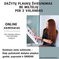 Online seminaras - DAŽYTŲ PLAUKŲ ŠVIESINIMAS BE MILTELIŲ PER 2 VALANDAS