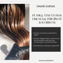 PLAUKŲ ATSTATYMAS. VISKAS, KĄ TURI ŽINOTI KOLORISTAS | Online kursas plaukų specialistams