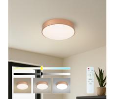 BRILAGI - LED dimeriuojamas lubinis šviestuvas POOL LED/36W/230V skersmuo 30 cm varinis + su nuotoliniu valdymu