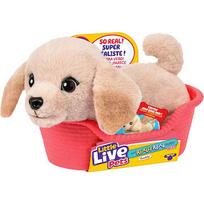 Moose Toys Ltd. Moose Toys Little Live Pets My Really Real S2 Puppy Mini - Buddy, cuddly toy 26650