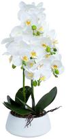Dirbtinis augalas vazone, orchidėja Home4you Greenland, balta sp./žalia sp., 68 cm x 22 cm
