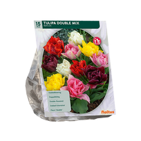 Tulpių svogūnėliai, lot. TULIPA DUBBEL MIX, 15 vnt