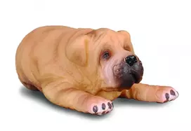 CollectA 88194 figūrėlė šuniukas Shar Pei S 5 cm