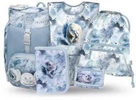 Baagl mokyklinės kuprinės Airy 5 dalių rinkinys, 16,5 l, lengvas, ergonomiškas, Polar, su prijuoste
