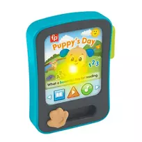 Interaktyvus pasakų skaitytuvas Fisher-Price JGX03
