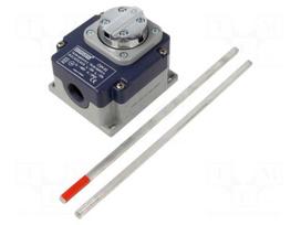 Limit switch | steel wire, length 200mm | 20A | PG13,5 | IP65 | metal