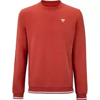 Sweat TECNIFIBRE team terry terakotos spalvos