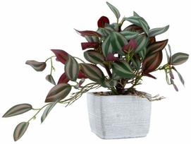 Dirbtinis augalas vazone Home4you Greenland, žalia sp., 19 cm