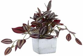 Dirbtinis augalas vazone Home4you Greenland, žalia sp., 18 cm