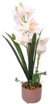 Dirbtinis augalas vazone, orchidėja Home4you Garden Queen, balta sp./žalia sp., 70 cm x 16 cm