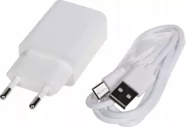 „Delta Power“ tinklinis įkroviklis su 1 USB-A ir 1 USB-C jungtimis, 5 V/1 A (5V/1A/USB/C)