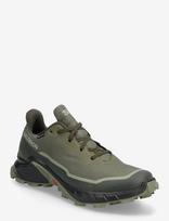 Salomon - Cross Alphacross 5 Gtx - Sportiniai žygio batai - Chaki spalva