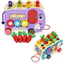 Medinis 8-in-1 drambliuko formos lavinamasis kubas su vaikštyne, formų rūšiuokliu, ksilofonu ir kirmėlių žvejyba ECOTOYS