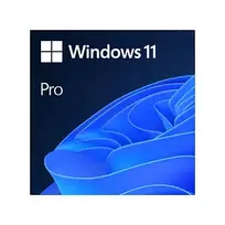 Microsoft Windows 11 Pro