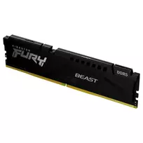 Kingston Technology FURY Beast memory module