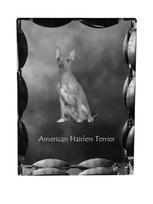 Amerikietiškas plikasis terjeras - kristalas su šuns paveikslėliu, stiklinė statulėlė su paveikslėliu, unikali rėmelis su paveikslėliu iš Art-Dog prekės ženklo skaidri