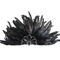 Stage Performance Feather Headpiece Colorful Feather Headdress Hair Accessories  Carnival Events black