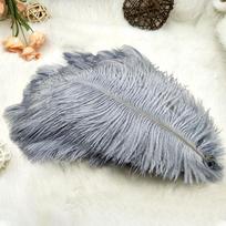 100 vienetų stručio plunksnų ornamentas 15-20 cm „pasidaryk pats“ natūralus namų vestuvių vakarėlio dekoravimas gray