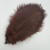 10 vnt / partijoje Stručio plunksnos dekoravimui Ilgos 30–35 cm 12–14 colių didelės juodos baltos vestuvių centrinės detalės, skirtos karnavaliniam dekoravimui black