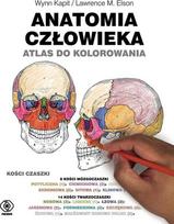 Žmogaus anatomija Atlasas spalvinimui - Wynn Kapit Lawrence M Elsonas