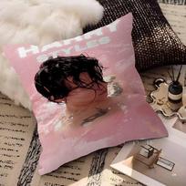 Singer H-Harry S-Styles Pillow Cover Sofa Cushion Cover Home Room Decoration Children Gift Peach skin 18*18(CM)-1Pcs brown