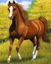 Deimantinė tapyba Pegasus Deimantinis siuvinėjimas Siuvinėjimas kryželiu arkliai Gyvūnų nuotraukos iš kalnų krištolų mozaikos rankdarbiai Full Square 40X50CM tamsiai rausva spalva