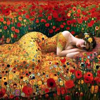 Gustavo Klimto meno plakatų spaudiniai svetainei, namų dekoravimui, abstrakti moteris, drobės tapyba, modernios gėlės, mergaitės, drobės sienos menas 70X70CM No Framed