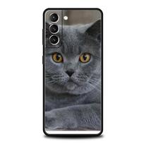 Britų trumpaplaukės katės minkštas telefono dėklas Samsung Galaxy S24 S23 S22 S20 Ultra S21 FE 5G S10 S9 Plus S10E S8 20 silikoninis dangtelis Samsung S24 gray