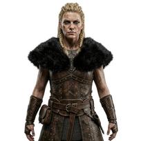 Norsų kostiumo skara dirbtinio kailio peties apdangalas suaugusiems, be gobtuvo, su šoniniais skeltukais, skirtas vaidmenų žaidimų renginiui, cosplay vakarėlio stiliui. juoda