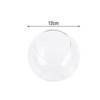 Clear Glass Vase Terrarium with Open Mouth Design for Ornaments and Plants C white
