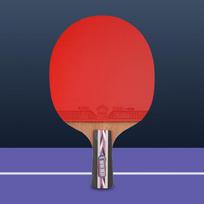 729 Carbon Table Tennis Racket - Vibrant Series red