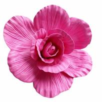 30/40/50cm Giant PE Foam Rose Giant Size PE Foam Material Simulation Flowers Branch Rose Flower Simulation Design Rose Branch 50cm
